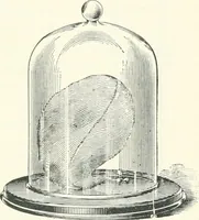 An illustration from A textbook on mechanical and electrical engineering (1898)
