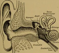 An illustration from A text-book on sound (1908)