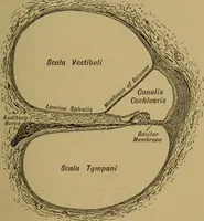 An illustration from A text-book on sound (1908)