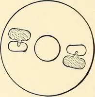 An illustration from Text-book on static electricity (1904)