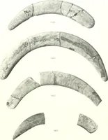 An illustration from Textes et dessins magiques (1903)