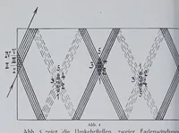 An illustration from Textilberichte über Wissenschaft, Industrie und Handel (1920)