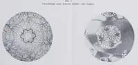 Picture 13 of 17 from Textilberichte über Wissenschaft, Industrie und Handel (1920), leaf 263