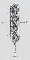 Picture 3 of 17 from Textilberichte über Wissenschaft, Industrie und Handel (1920), leaf 51