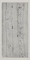 An illustration from Textilberichte über Wissenschaft, Industrie und Handel (1920)