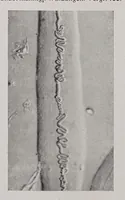 An illustration from Textilberichte über Wissenschaft, Industrie und Handel (1920)