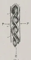 An illustration from Textilberichte über Wissenschaft, Industrie und Handel (1920)