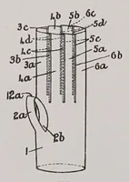 Picture 2 of 16 from Textilberichte über Wissenschaft, Industrie und Handel (1920), leaf 74