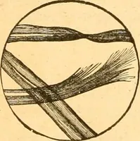 Picture 11 of 59 from Textile calculations: being a guide to calculations relating to the construction of all kinds of yarns and fabrics (1896), leaf 103
