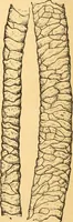 Picture 13 of 59 from Textile calculations: being a guide to calculations relating to the construction of all kinds of yarns and fabrics (1896), leaf 103
