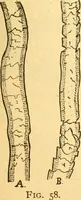 Picture 14 of 59 from Textile calculations: being a guide to calculations relating to the construction of all kinds of yarns and fabrics (1896), leaf 104