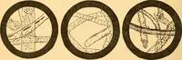 Picture 15 of 59 from Textile calculations: being a guide to calculations relating to the construction of all kinds of yarns and fabrics (1896), leaf 105
