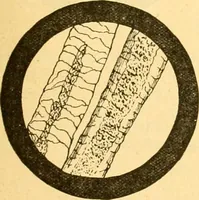 Picture 17 of 59 from Textile calculations: being a guide to calculations relating to the construction of all kinds of yarns and fabrics (1896), leaf 106