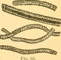 Picture 18 of 59 from Textile calculations: being a guide to calculations relating to the construction of all kinds of yarns and fabrics (1896), leaf 106