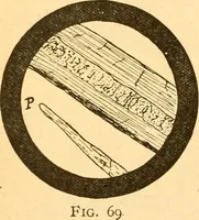 Picture 21 of 59 from Textile calculations: being a guide to calculations relating to the construction of all kinds of yarns and fabrics (1896), leaf 107