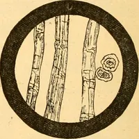 Picture 22 of 59 from Textile calculations: being a guide to calculations relating to the construction of all kinds of yarns and fabrics (1896), leaf 107