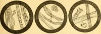 Picture 23 of 59 from Textile calculations: being a guide to calculations relating to the construction of all kinds of yarns and fabrics (1896), leaf 108