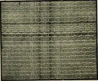 An illustration from Textile design and colour; elementary weaves and figured fabrics (1921)