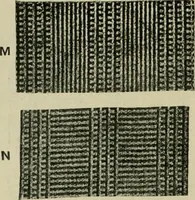 An illustration from Textile design and colour; elementary weaves and figured fabrics (1921)