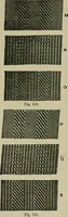 An illustration from Textile design and colour; elementary weaves and figured fabrics (1921)