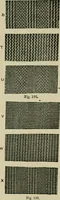 An illustration from Textile design and colour; elementary weaves and figured fabrics (1921)