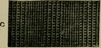An illustration from Textile design and colour; elementary weaves and figured fabrics (1921)