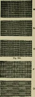 Picture 203 of 413 from Textile design and colour; elementary weaves and figured fabrics (1921), leaf 189