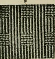 An illustration from Textile design and colour; elementary weaves and figured fabrics (1921)