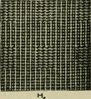 Picture 209 of 413 from Textile design and colour; elementary weaves and figured fabrics (1921), leaf 193
