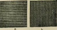 An illustration from Textile design and colour; elementary weaves and figured fabrics (1921)