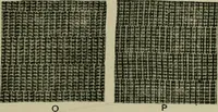 An illustration from Textile design and colour; elementary weaves and figured fabrics (1921)