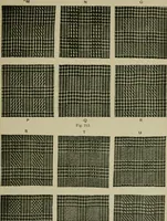 Picture 221 of 413 from Textile design and colour; elementary weaves and figured fabrics (1921), leaf 198