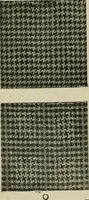 Picture 231 of 413 from Textile design and colour; elementary weaves and figured fabrics (1921), leaf 205