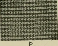 An illustration from Textile design and colour; elementary weaves and figured fabrics (1921)