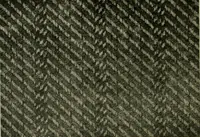 An illustration from Textile design and colour; elementary weaves and figured fabrics (1921)