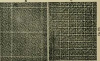 An illustration from Textile design and colour; elementary weaves and figured fabrics (1921)
