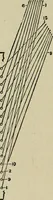 Picture 258 of 413 from Textile design and colour; elementary weaves and figured fabrics (1921), leaf 233