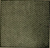 An illustration from Textile design and colour; elementary weaves and figured fabrics (1921)