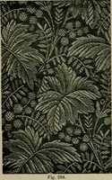 An illustration from Textile design and colour; elementary weaves and figured fabrics (1921)