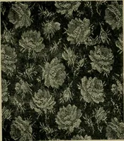 An illustration from Textile design and colour; elementary weaves and figured fabrics (1921)