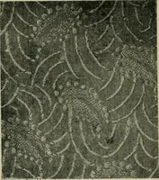 An illustration from Textile design and colour; elementary weaves and figured fabrics (1921)