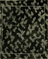 An illustration from Textile design and colour; elementary weaves and figured fabrics (1921)
