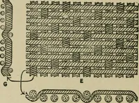 An illustration from Textile design and colour; elementary weaves and figured fabrics (1921)