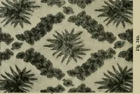 Picture 336 of 413 from Textile design and colour; elementary weaves and figured fabrics (1921), leaf 311