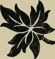 An illustration from Textile design and colour; elementary weaves and figured fabrics (1921)
