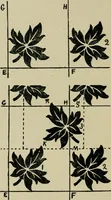 An illustration from Textile design and colour; elementary weaves and figured fabrics (1921)