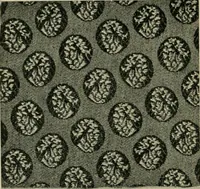 Picture 357 of 413 from Textile design and colour; elementary weaves and figured fabrics (1921), leaf 329