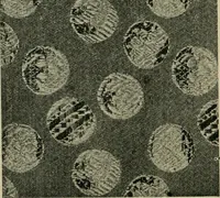 An illustration from Textile design and colour; elementary weaves and figured fabrics (1921)