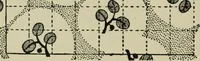 An illustration from Textile design and colour; elementary weaves and figured fabrics (1921)