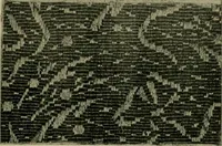 An illustration from Textile design and colour; elementary weaves and figured fabrics (1921)